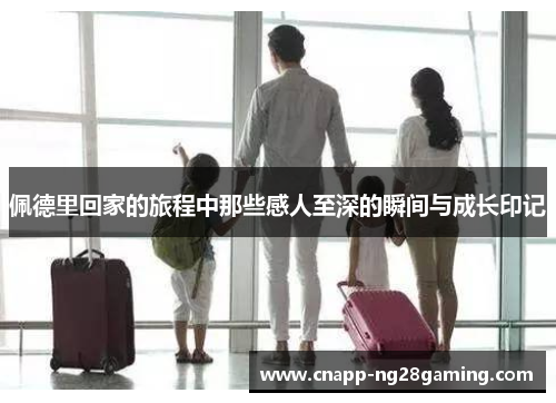 佩德里回家的旅程中那些感人至深的瞬间与成长印记
