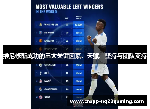 维尼修斯成功的三大关键因素：天赋、坚持与团队支持