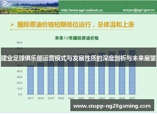 建业足球俱乐部运营模式与发展性质的深度剖析与未来展望