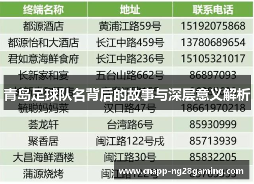 青岛足球队名背后的故事与深层意义解析