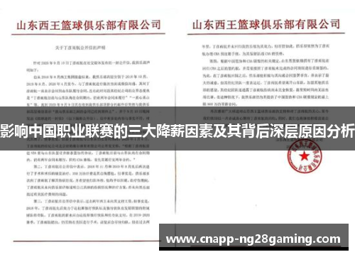 影响中国职业联赛的三大降薪因素及其背后深层原因分析