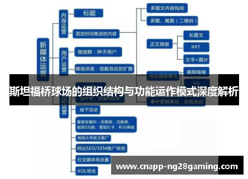 斯坦福桥球场的组织结构与功能运作模式深度解析