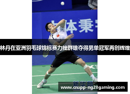 林丹在亚洲羽毛球锦标赛力挫群雄夺得男单冠军再创辉煌
