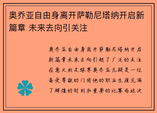奥乔亚自由身离开萨勒尼塔纳开启新篇章 未来去向引关注